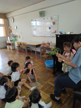苗植えを年長組が年少組に誘っている