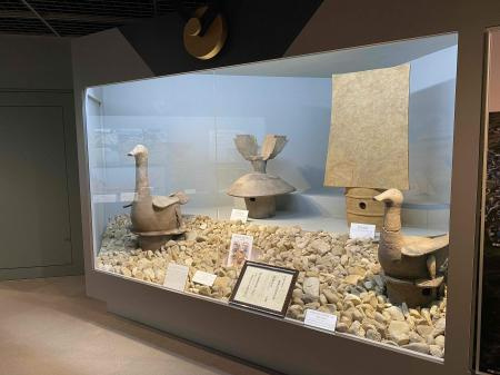 展示室（水鳥形埴輪）