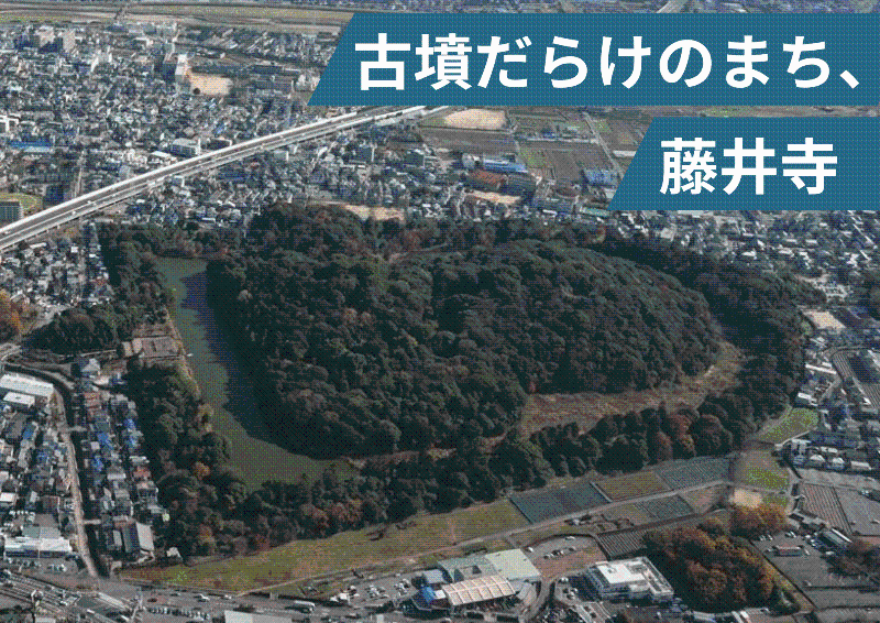 古墳だらけのまち、藤井寺