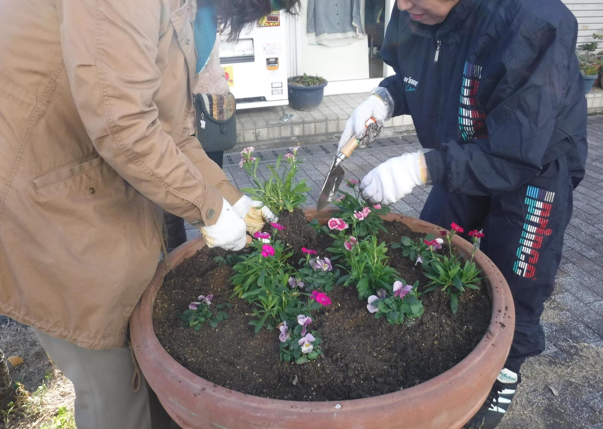 いちょう通りのフラワーポットへの花植え