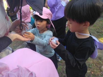 きれいな水晶玉をもらったよ