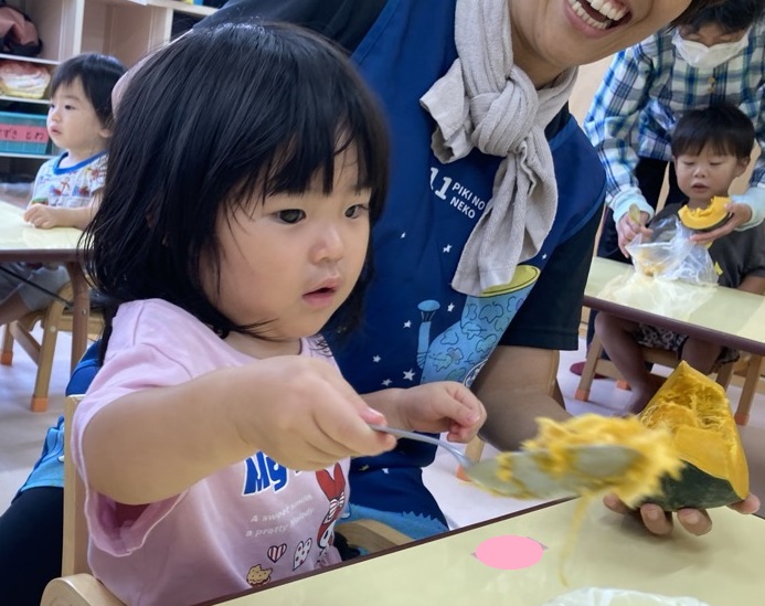 かぼちゃの種取