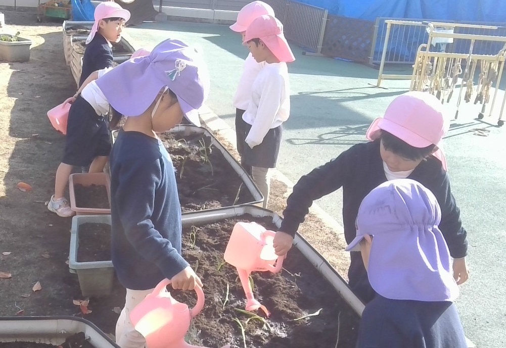 水やりをする4歳児