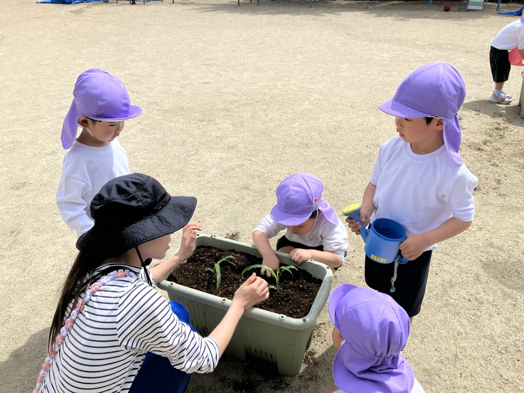 苗を植える子ども達