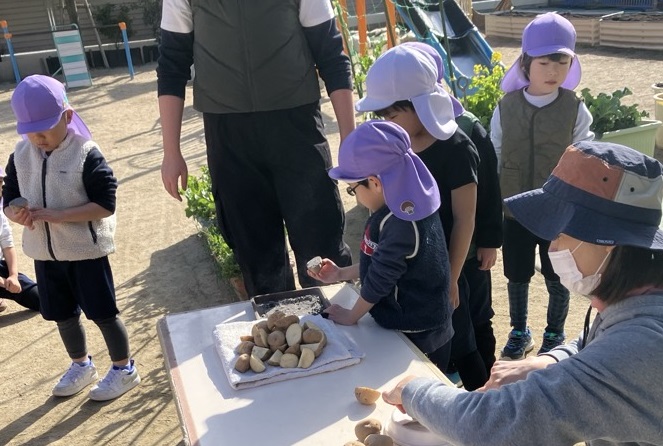 じゃがいも植え