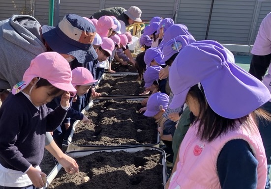じゃがいも植え