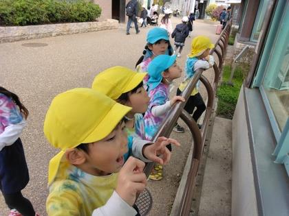 動物に話しかける子ども