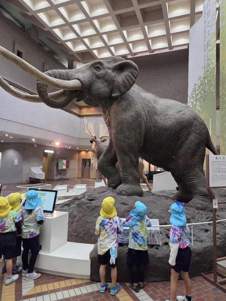 ナウマンゾウの模型を興味深そうに見る子ども達
