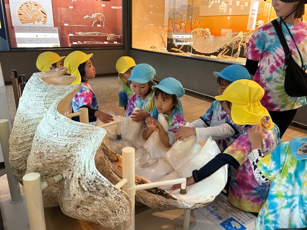 貝を見たり音を聞いたりするこども