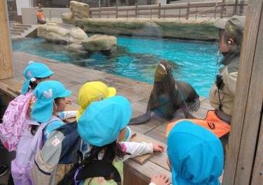 アザラシを見る子ども達